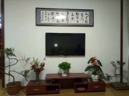 南岳花都29#
